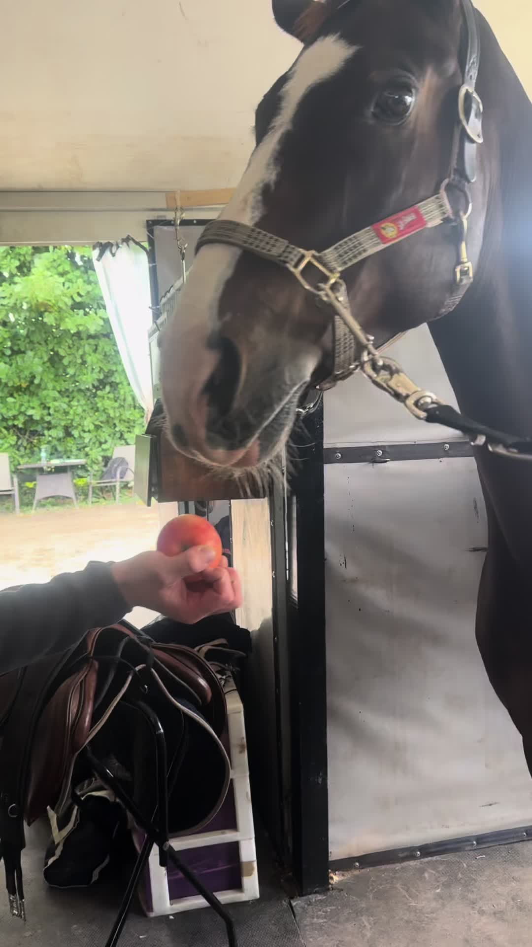 @Courses and Cocktails