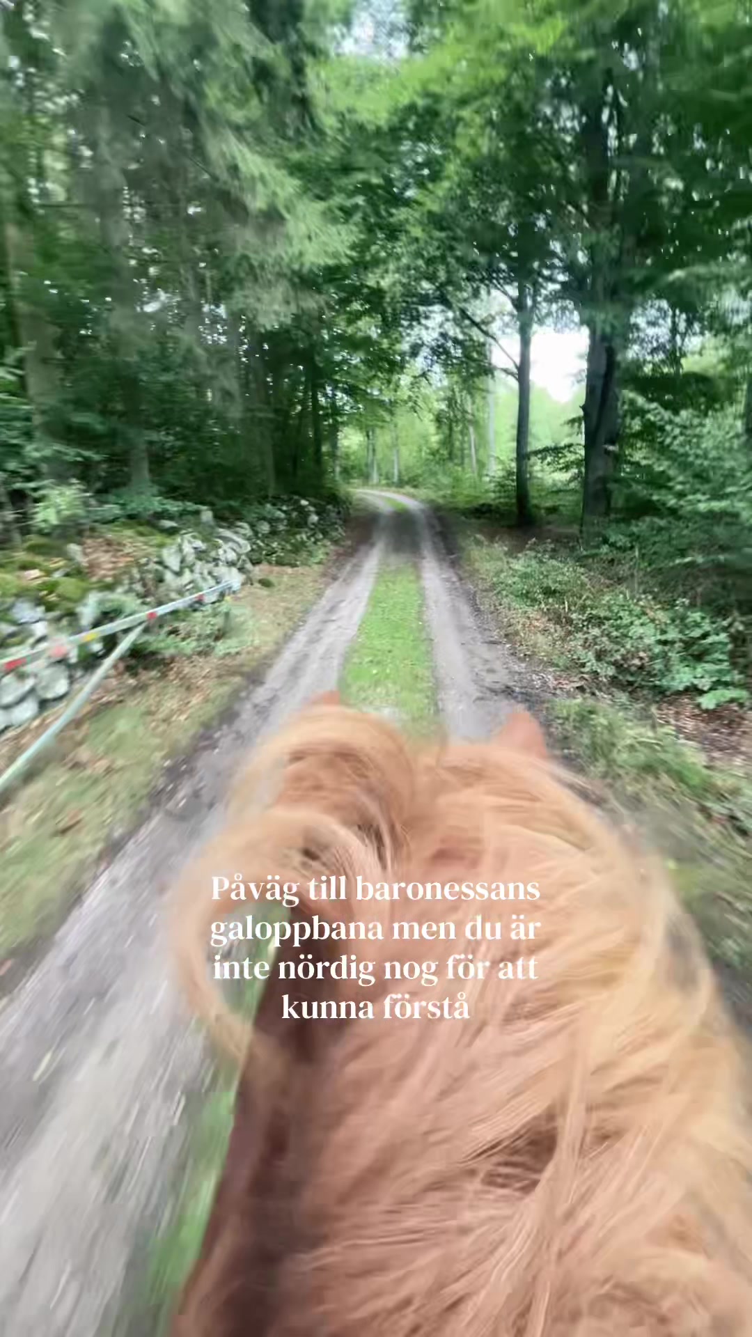 @ℳ𝒾𝓇𝒶𝓃𝒹𝒶 & ℬ𝒶𝓎𝓁𝒶