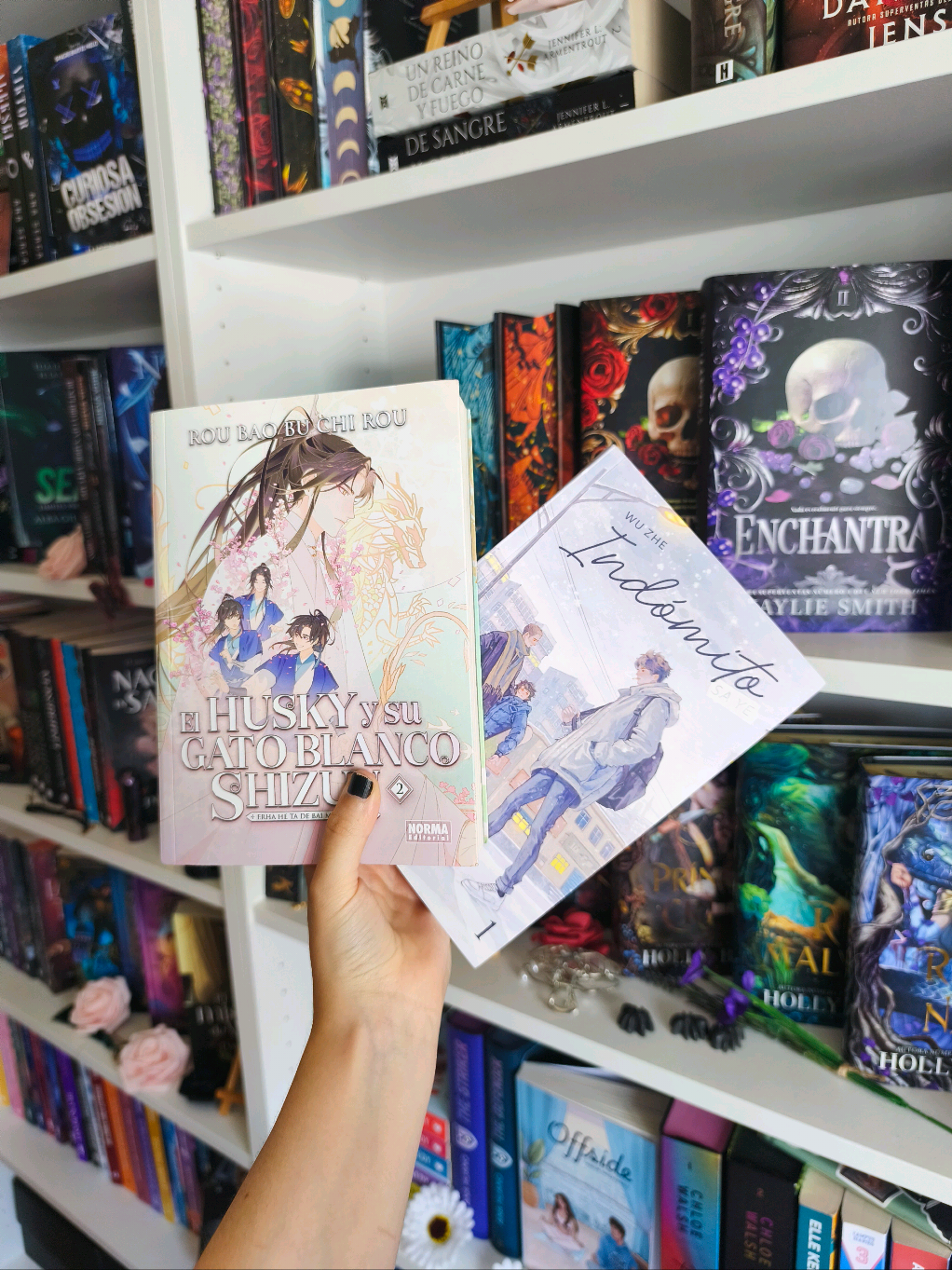 @Sora Bookish