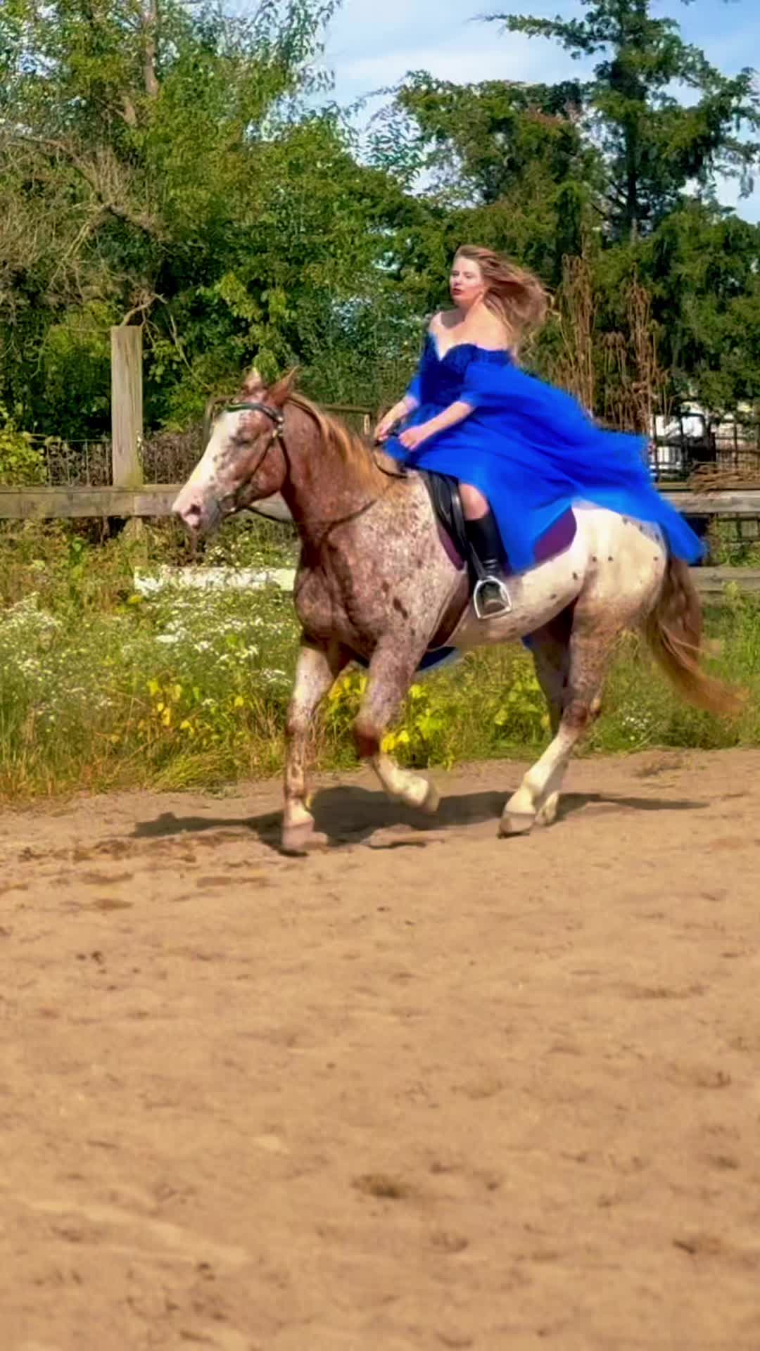 @Free Spirit Equestrian