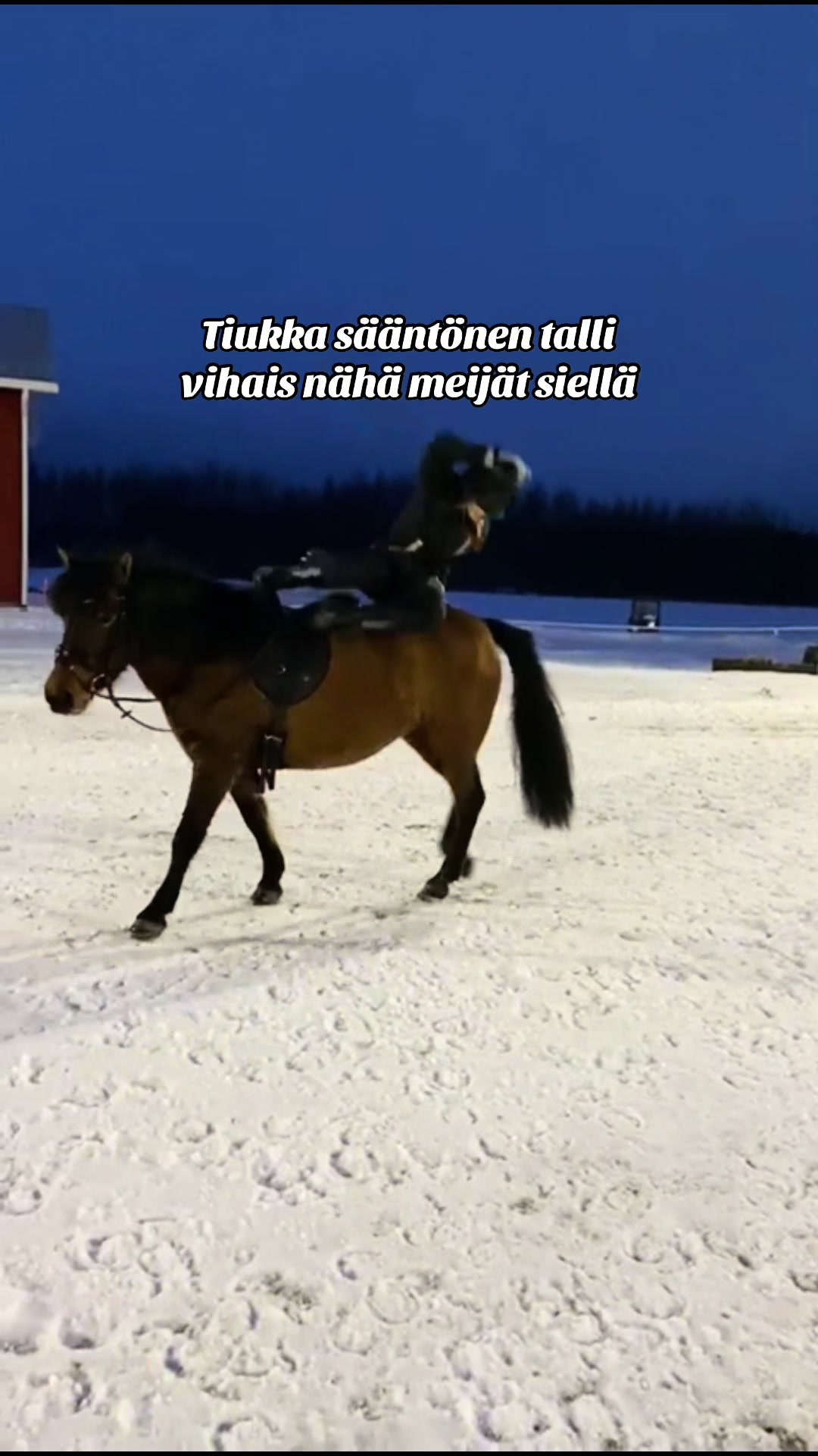 @Equestrian Veera🏇