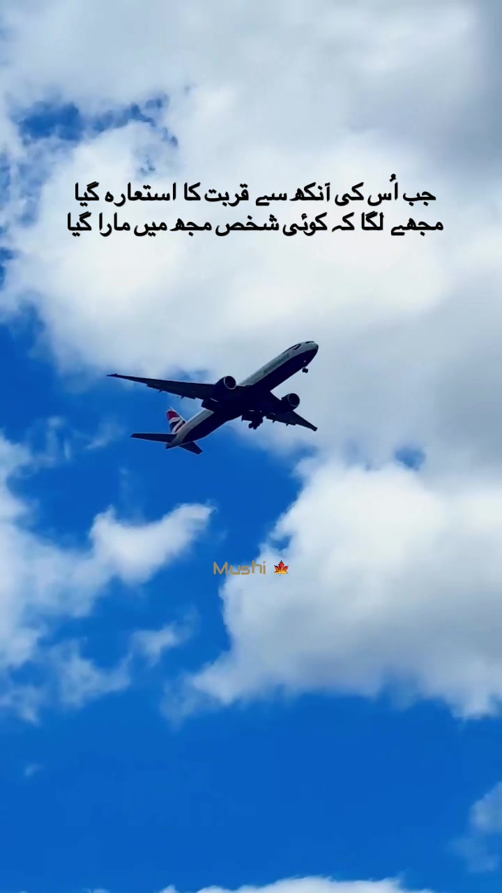 @Ayzal🍁Mushi
