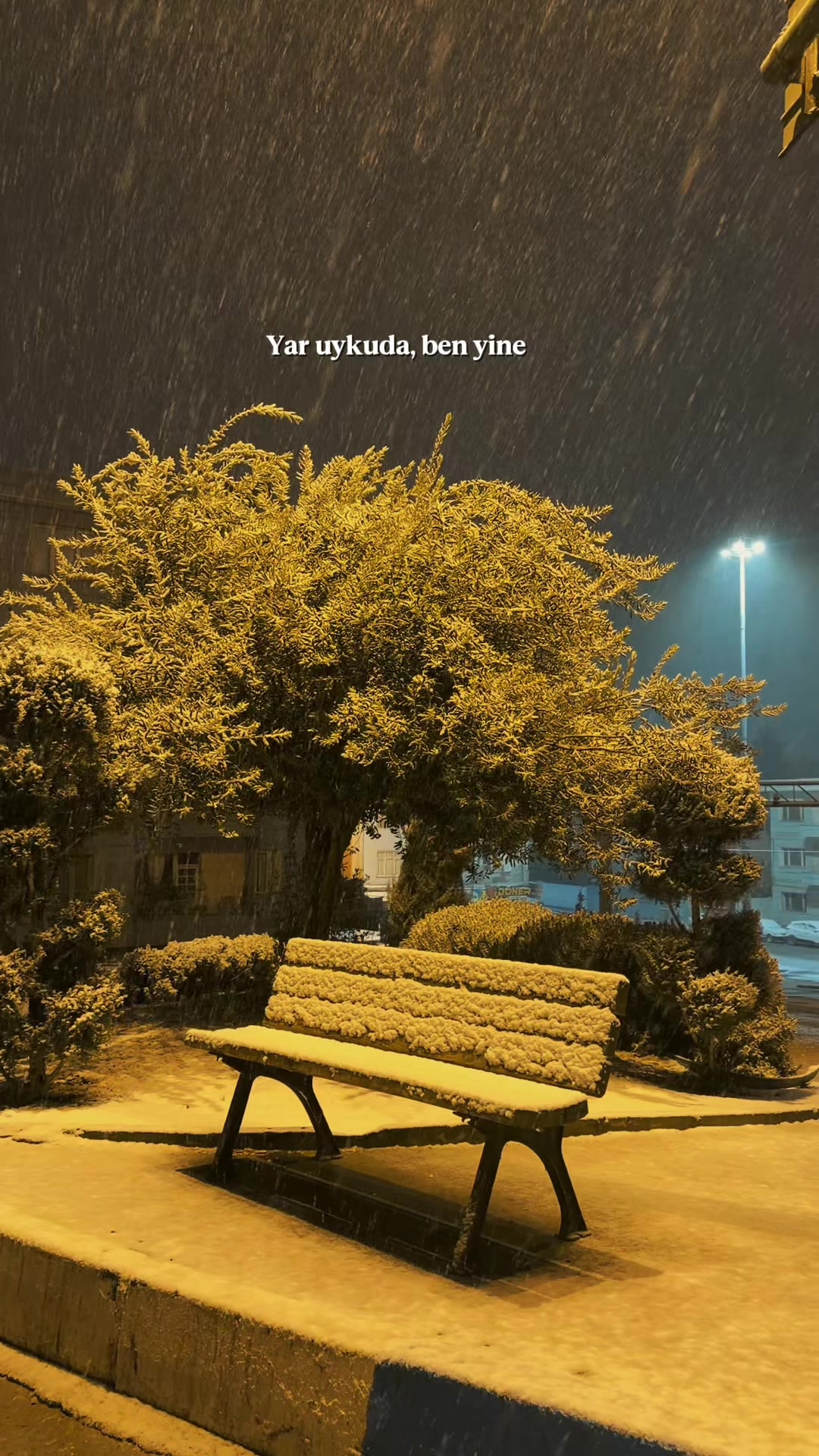 @Eşref Arıkan