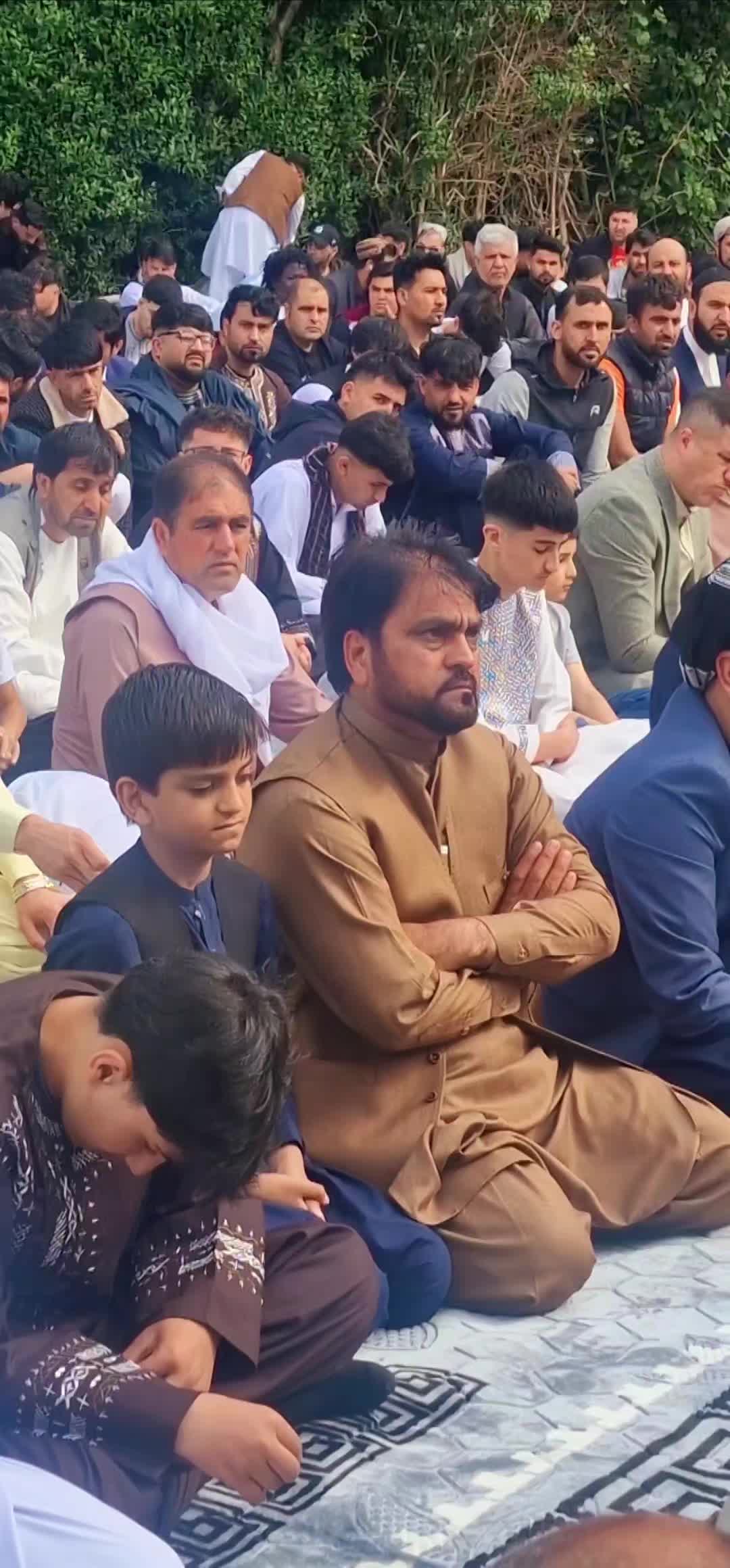 @Bacha Kamoval
