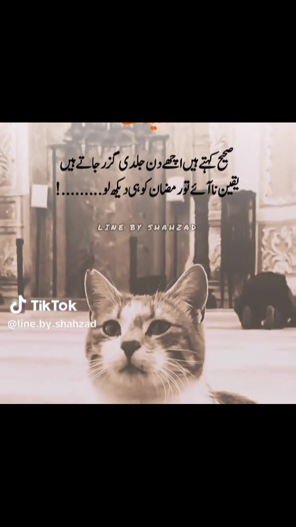 @Faizoon Forever