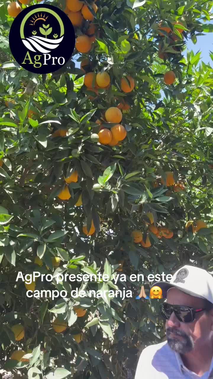 @Piedad Ayala