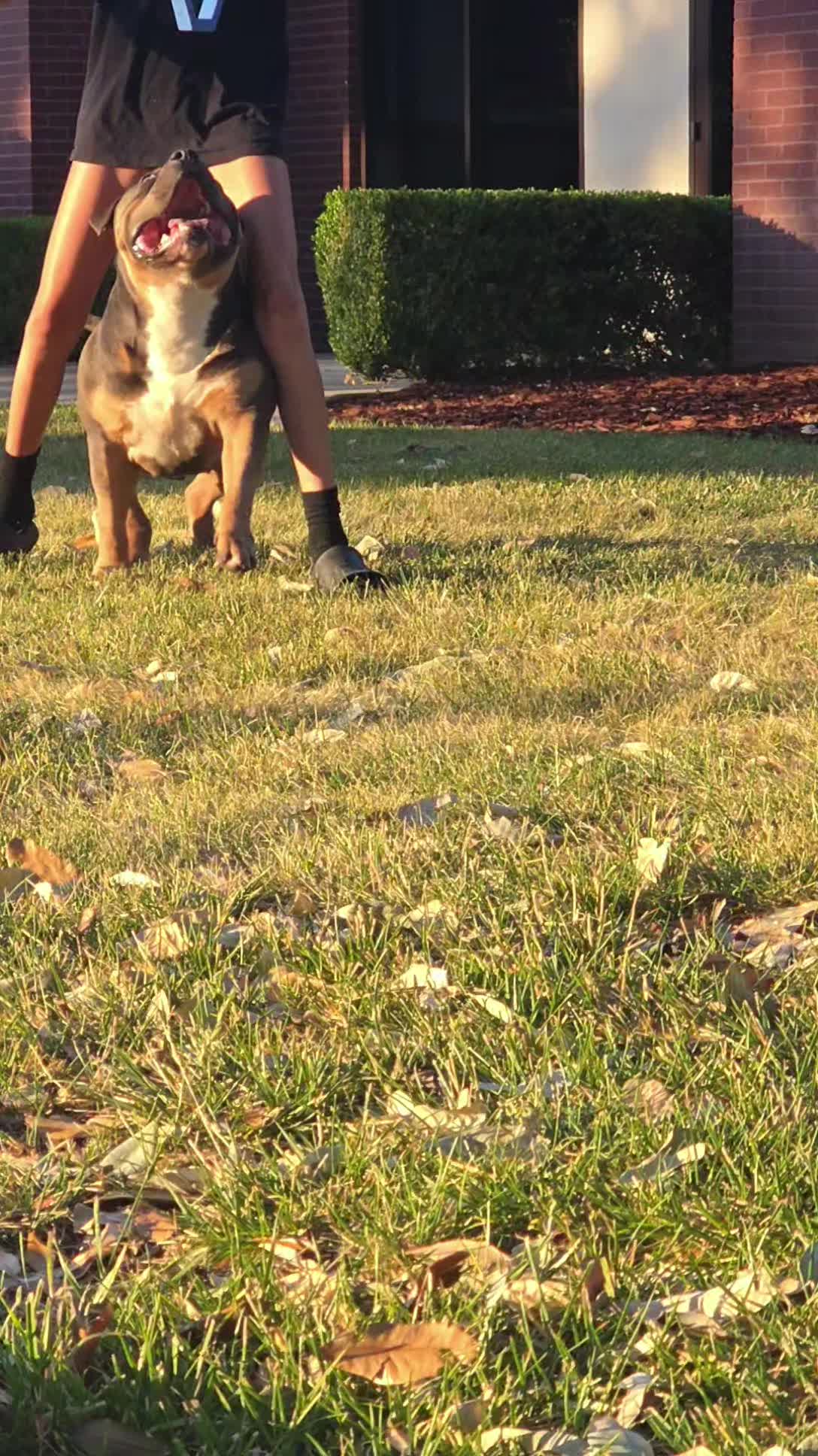 @hwy4bullyz