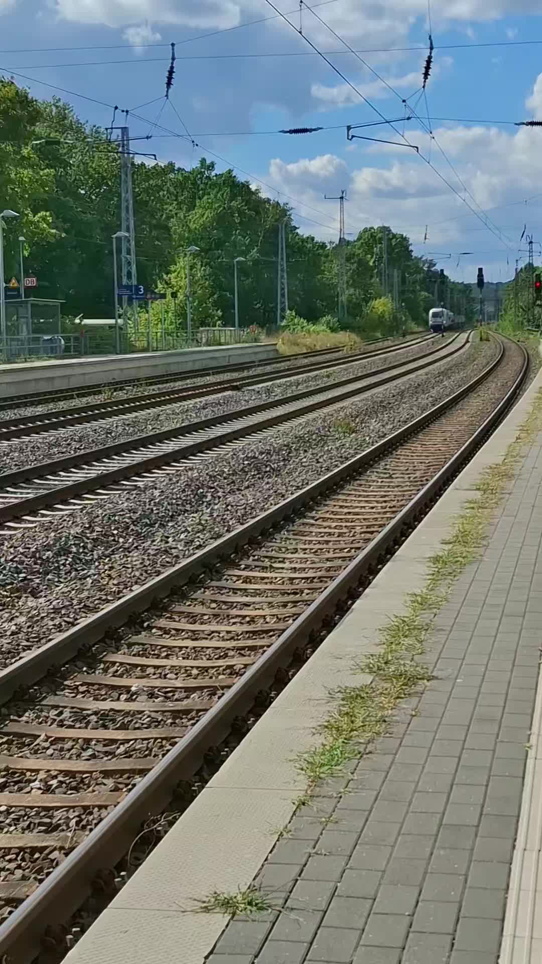 @Angeln und Z&uuml;ge 🇩🇪🚆🇩🇪🎣
