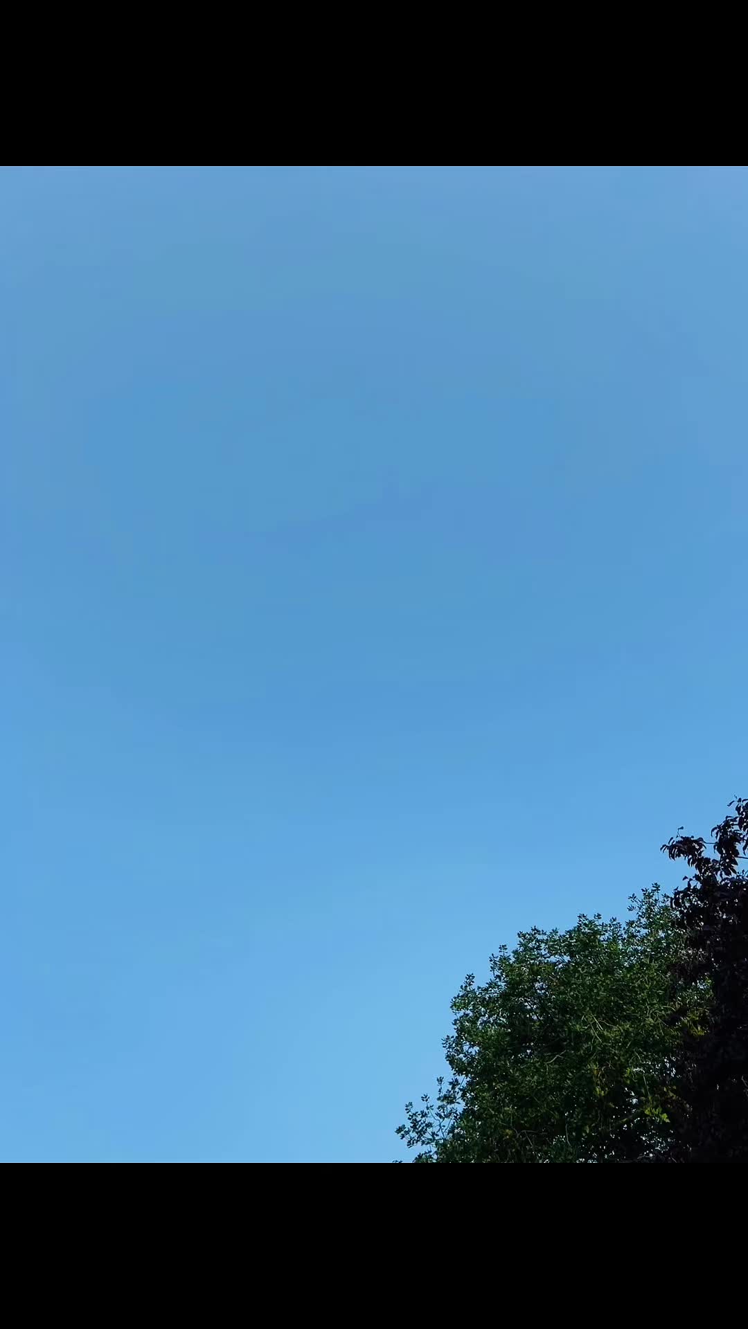 @𝐿𝒾𝓁𝓎 🎀
