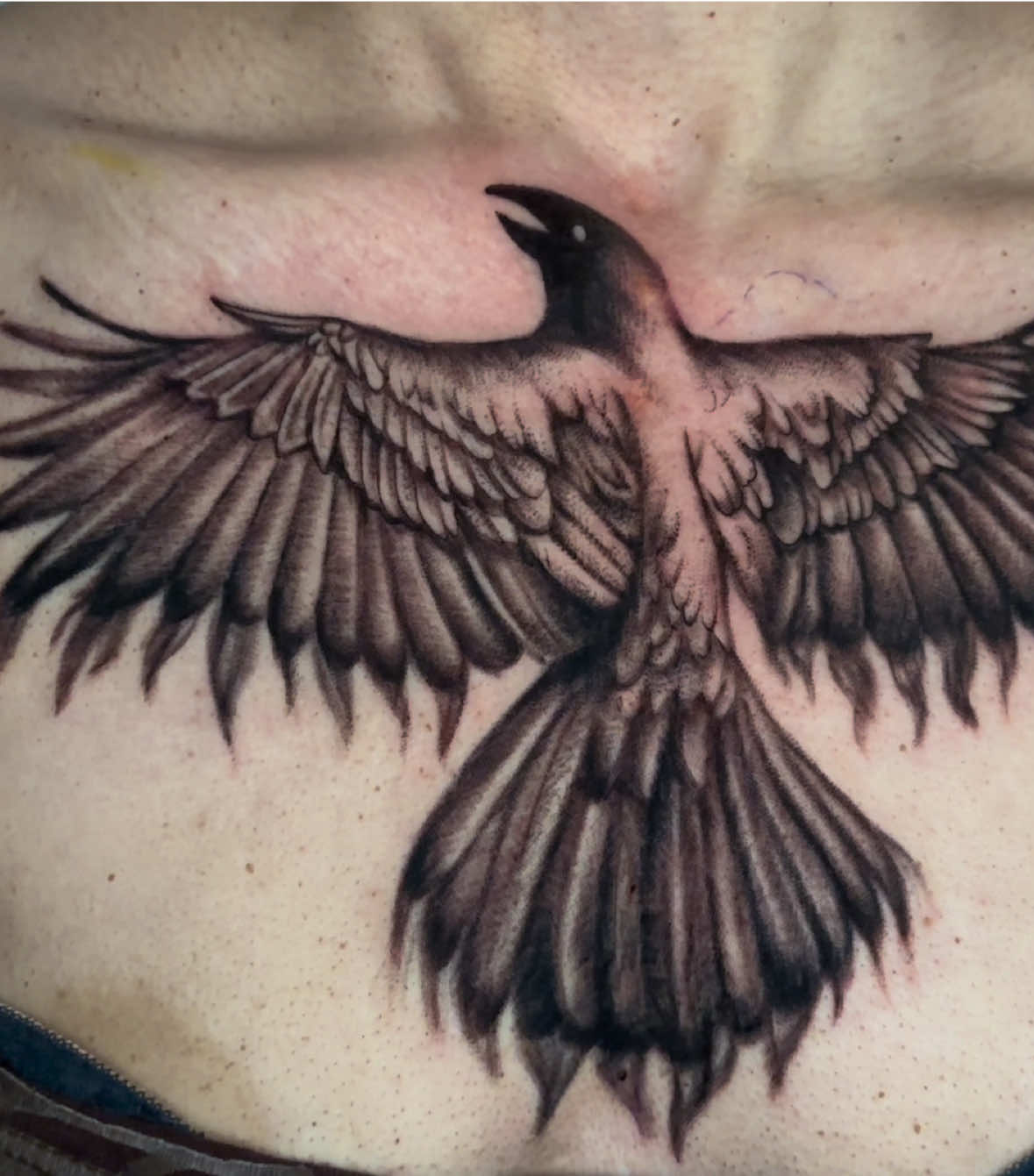 @Laura Forest Tattoo
