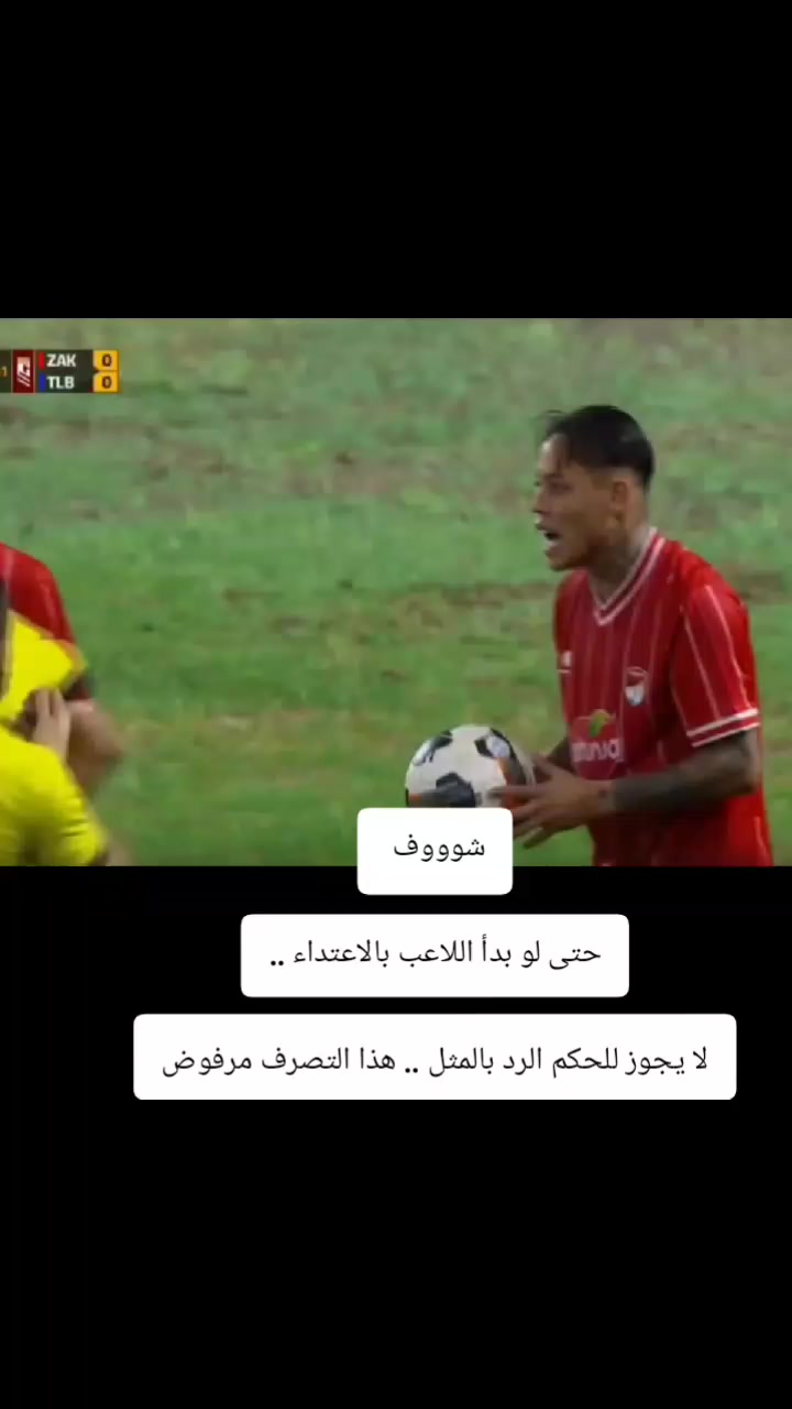 @ملعب البصرة جذع نخلة