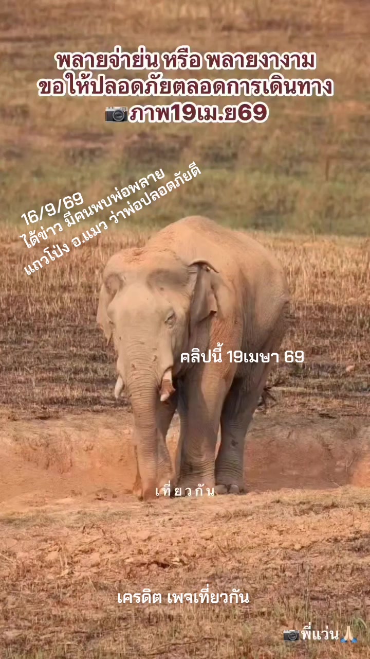 @Bua