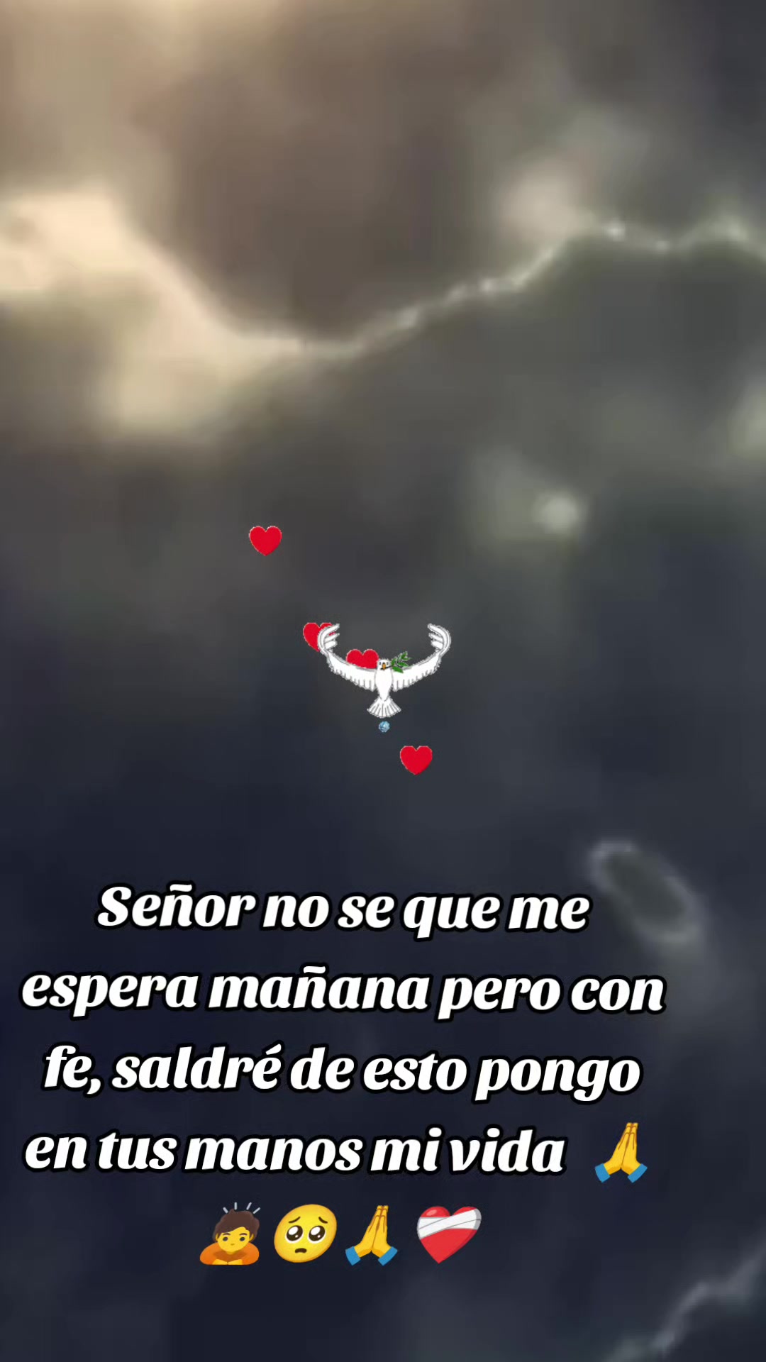 @jorge_caisa