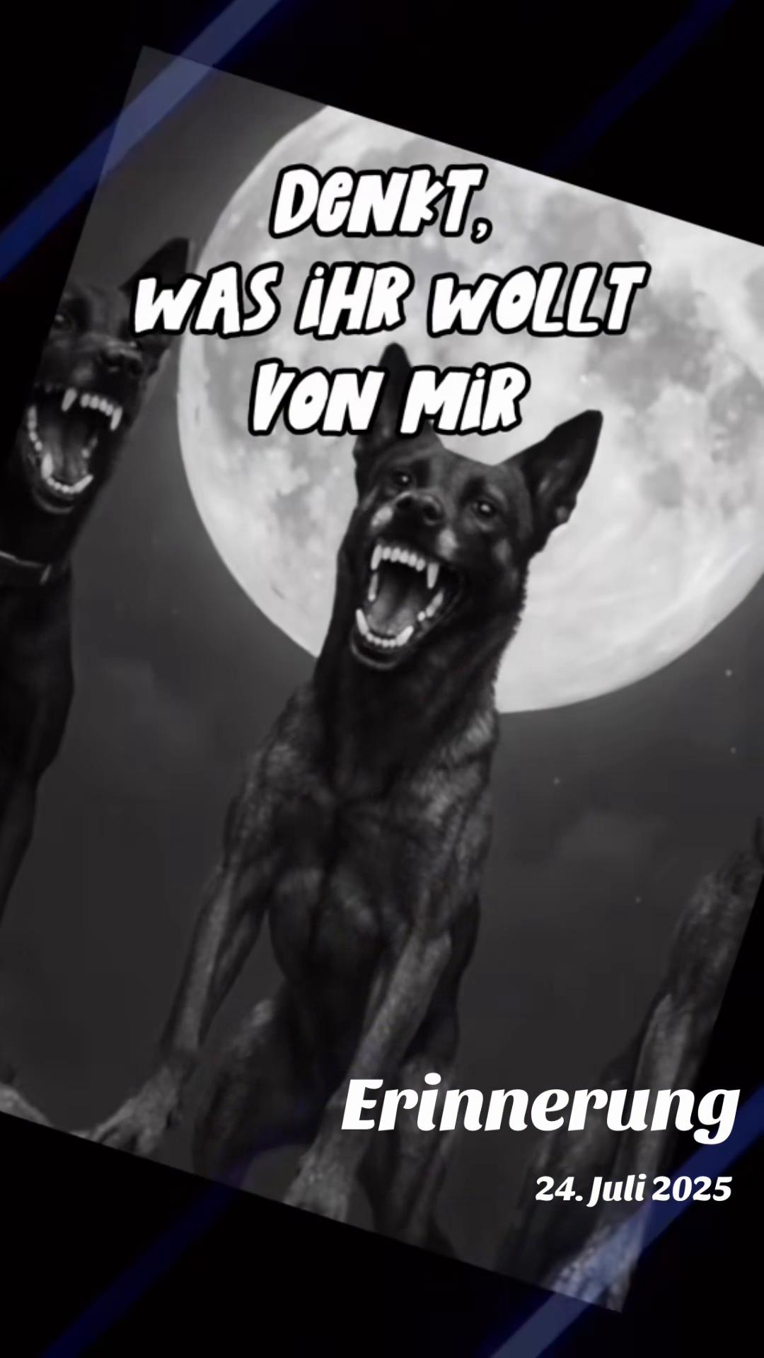 @malinois_und_ich