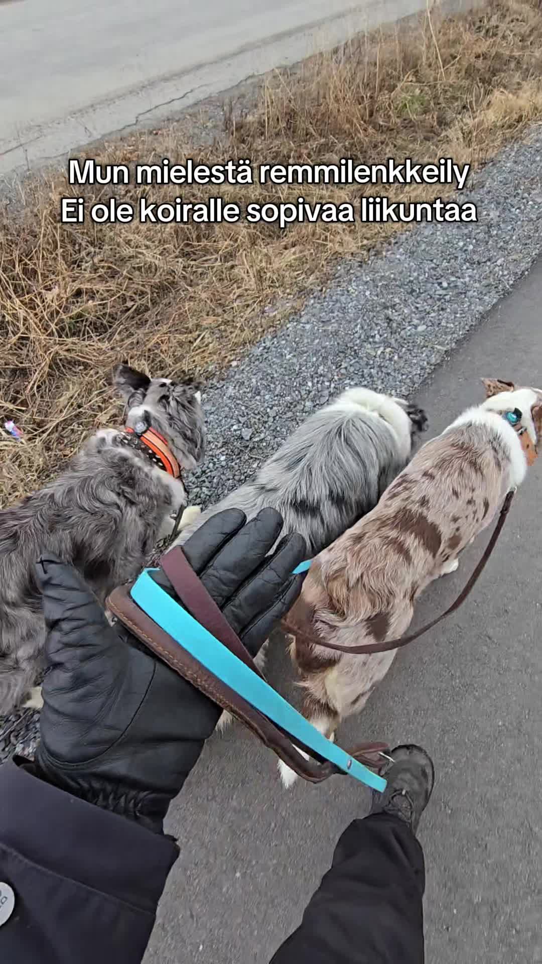 @Kati Häkli