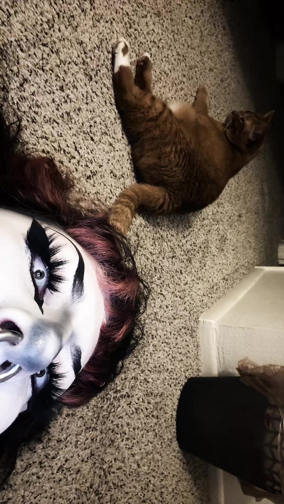 @𝖆𝖑𝖋𝖎𝖊 !