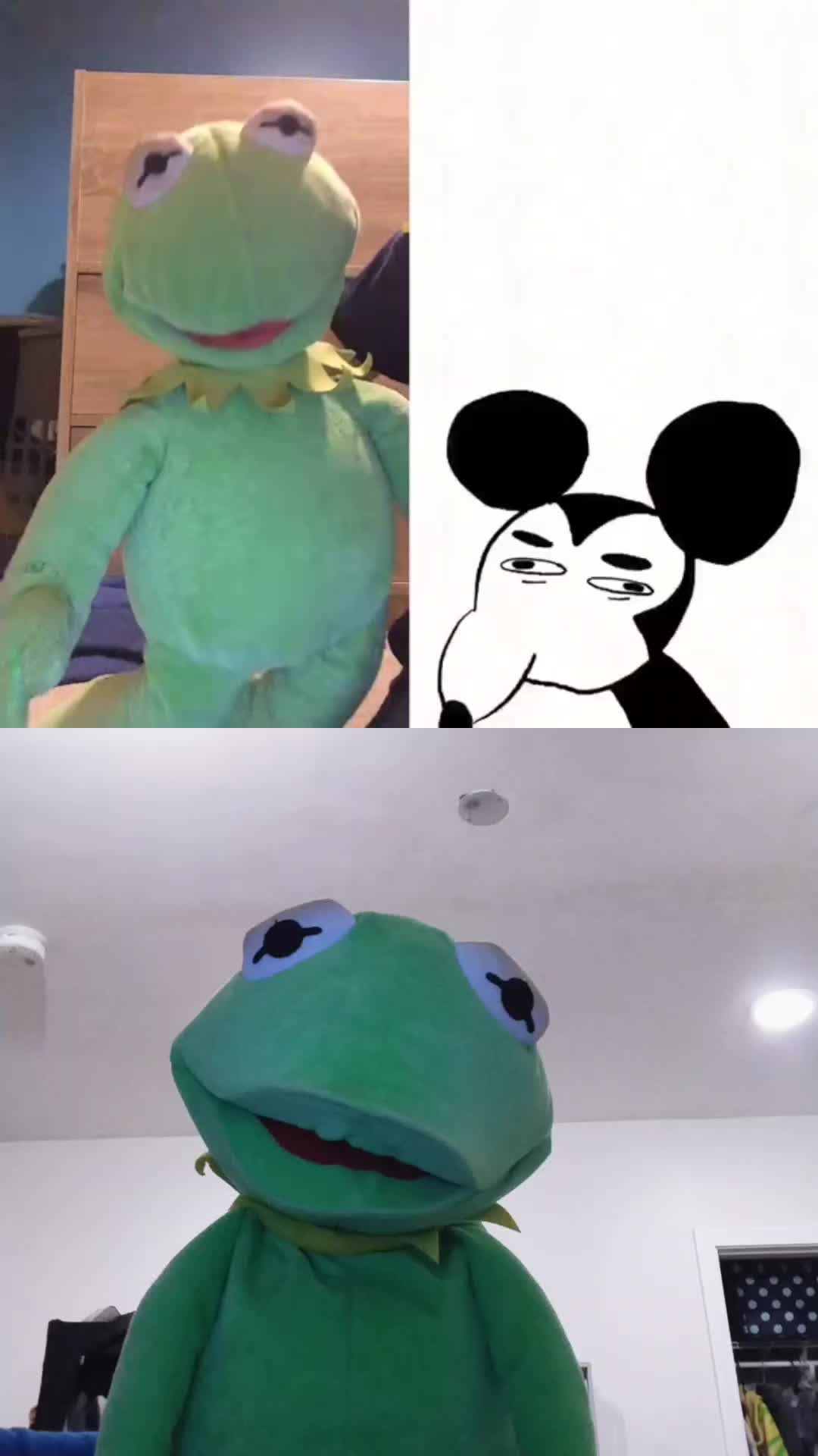 @Kermit And Friends 2026