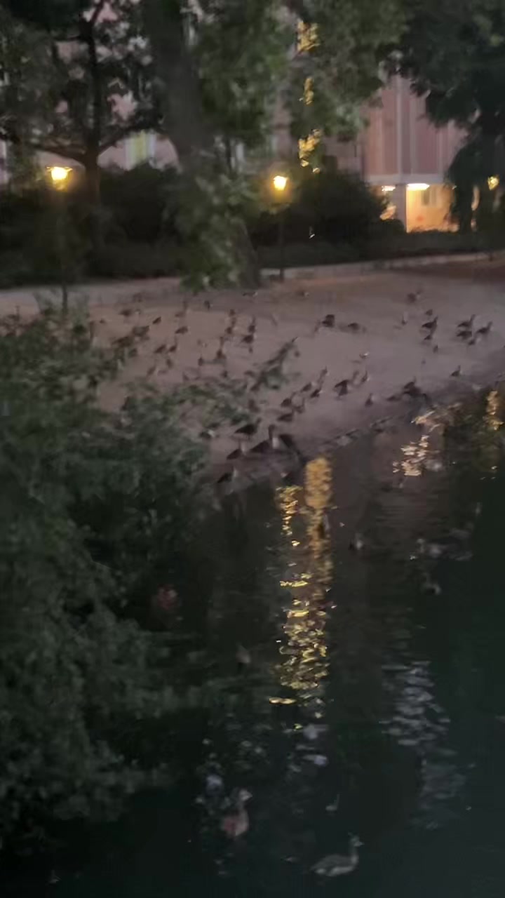 @𝐍𝐎𝐓𝐒𝐂𝐀𝐋𝐄