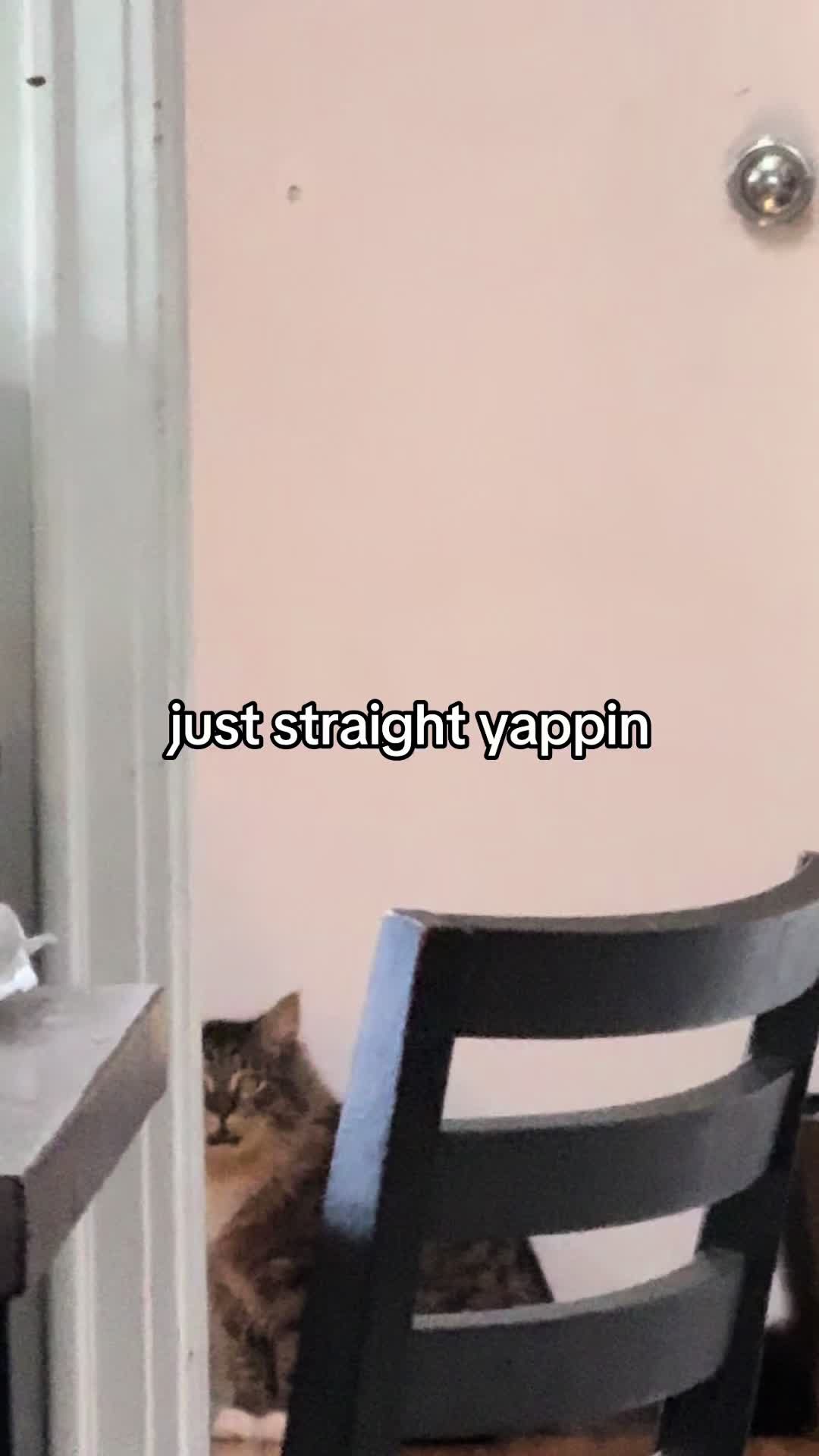 @Professor Simpy ☭