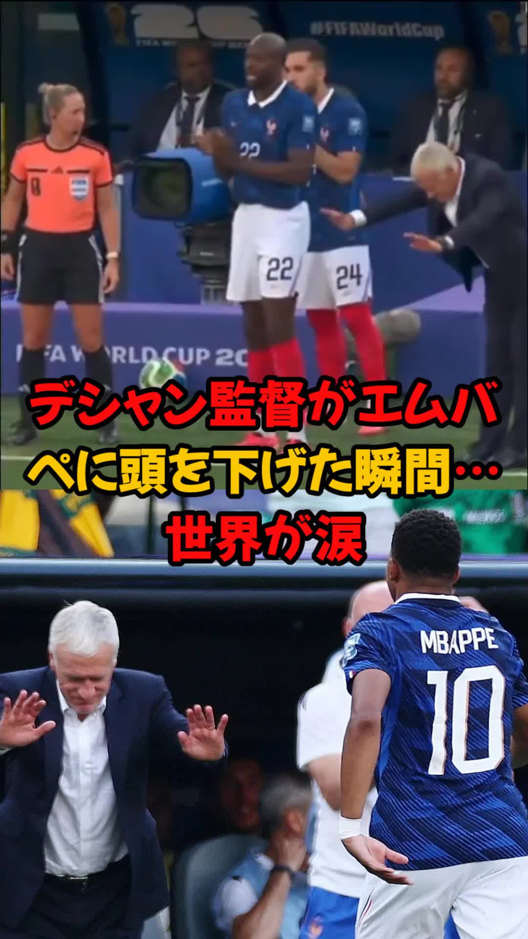 @mikamisan
