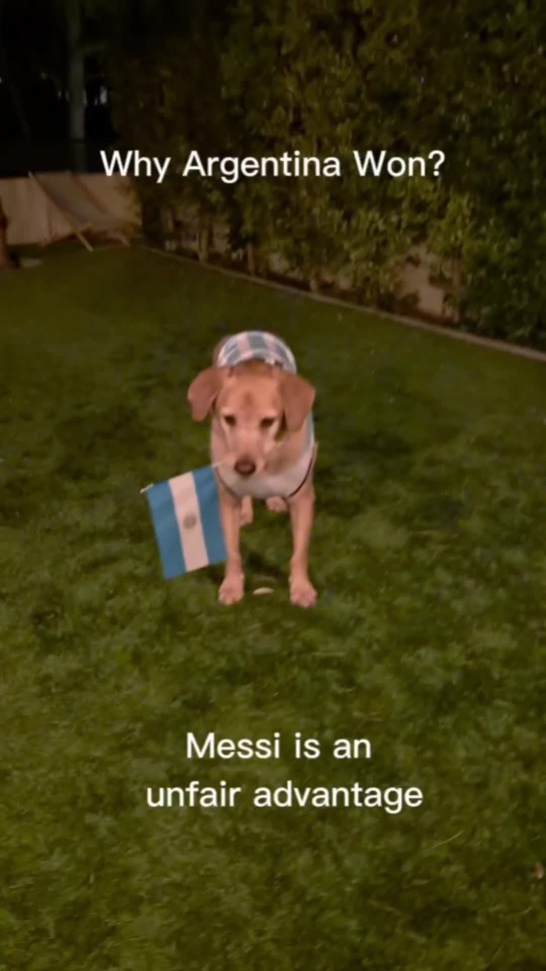 @MessiPaws