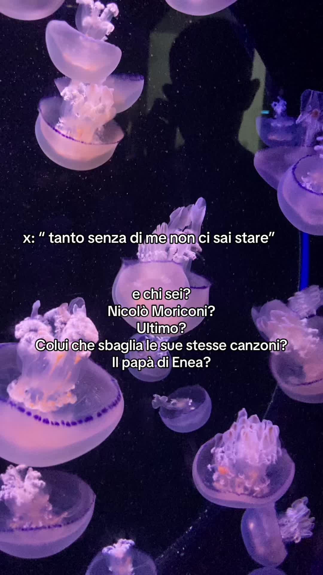 @cate
