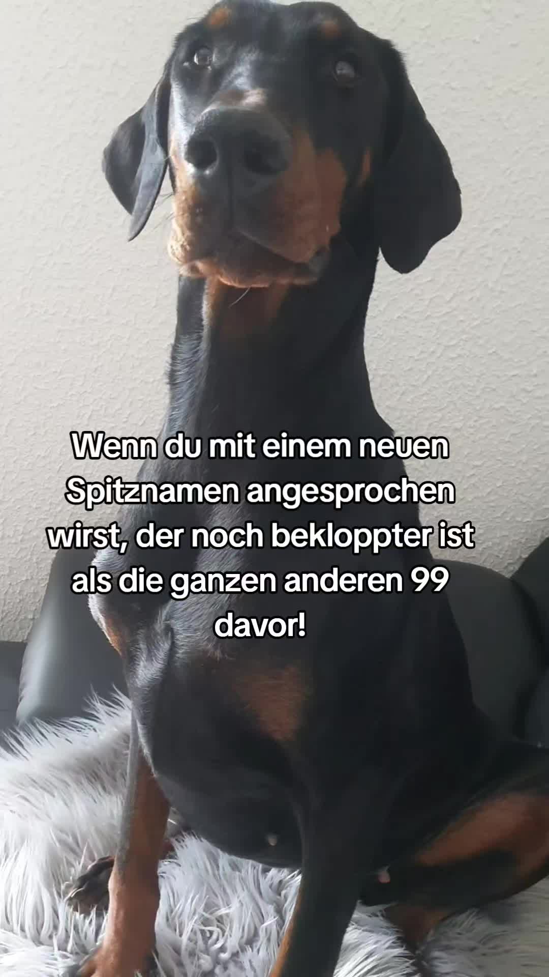 @Angelika Schaefer