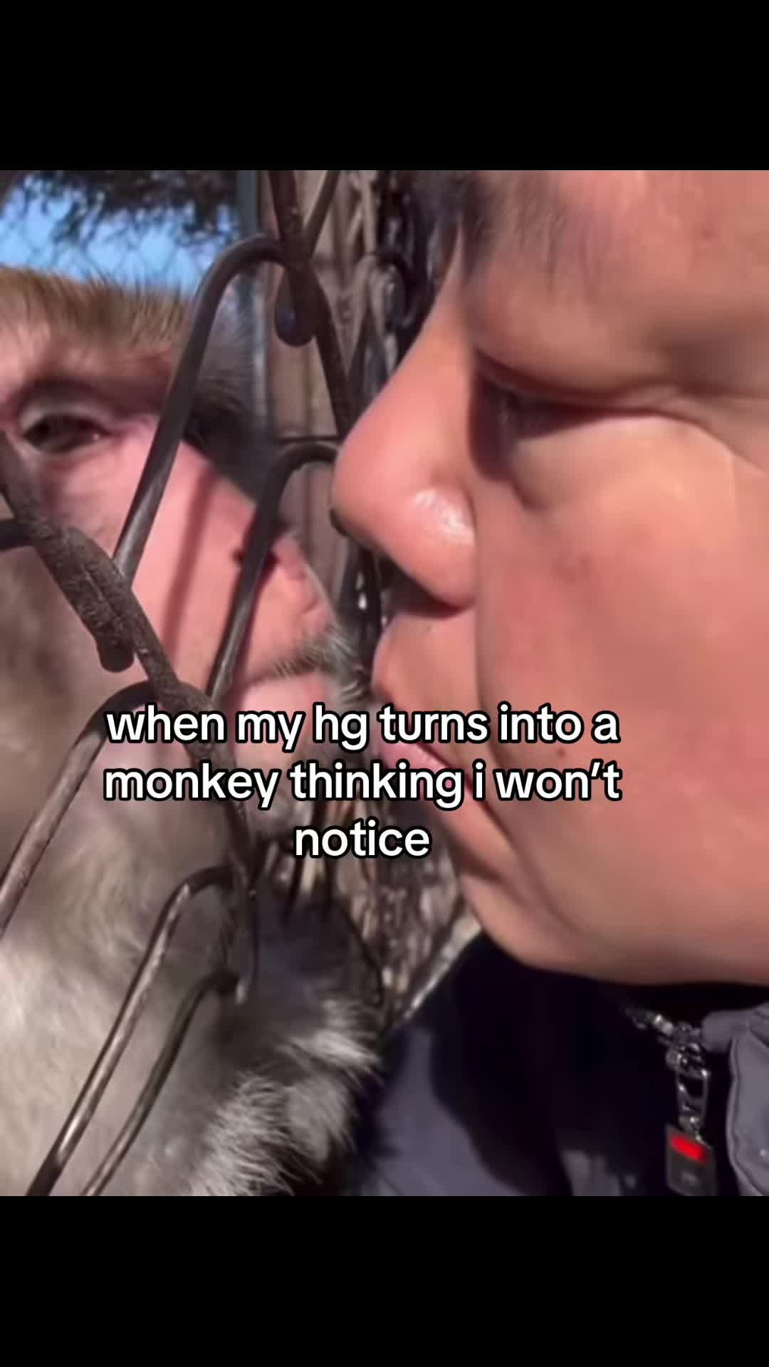 @inspectormusa