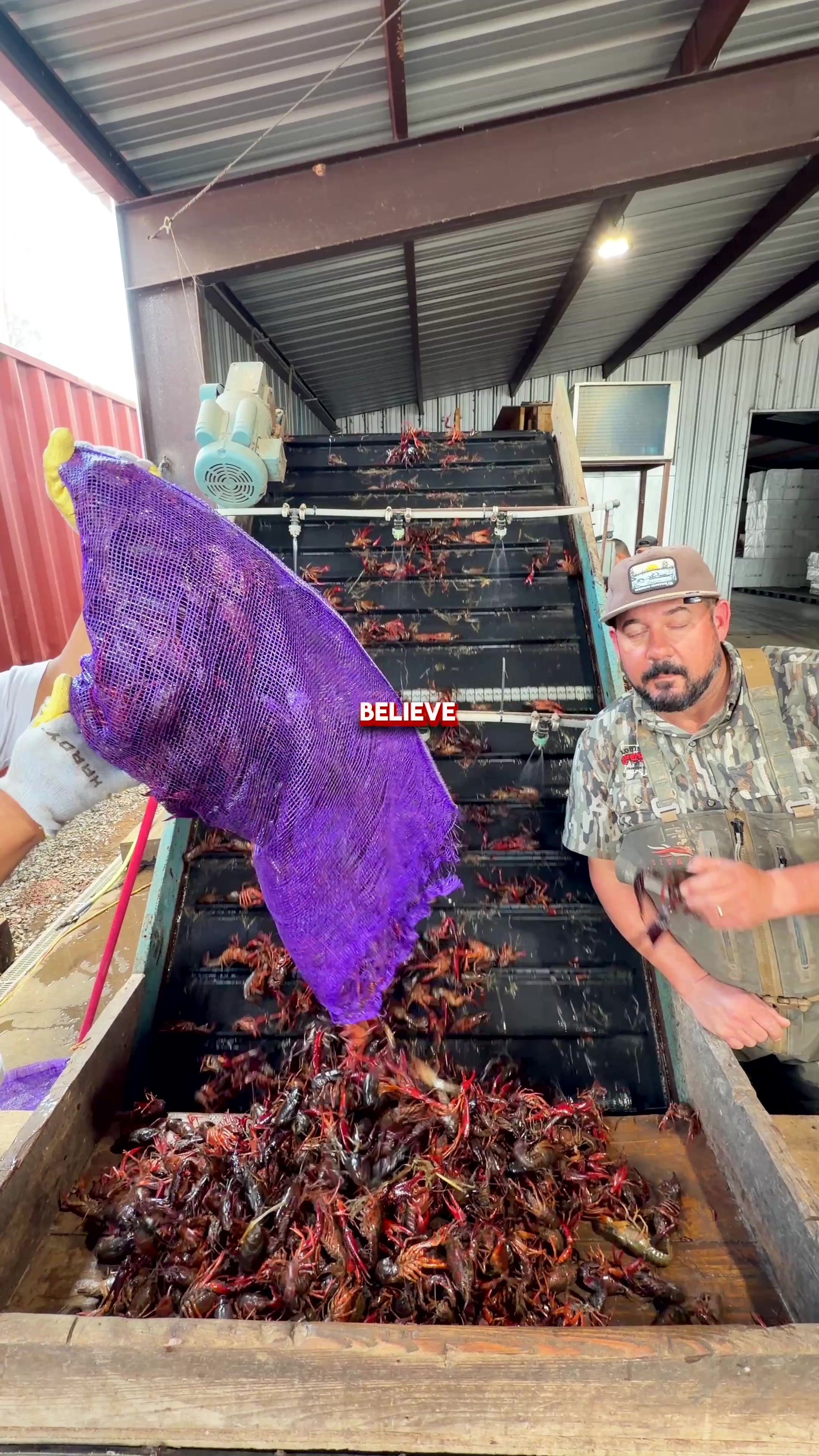 @louisianacrawfishco