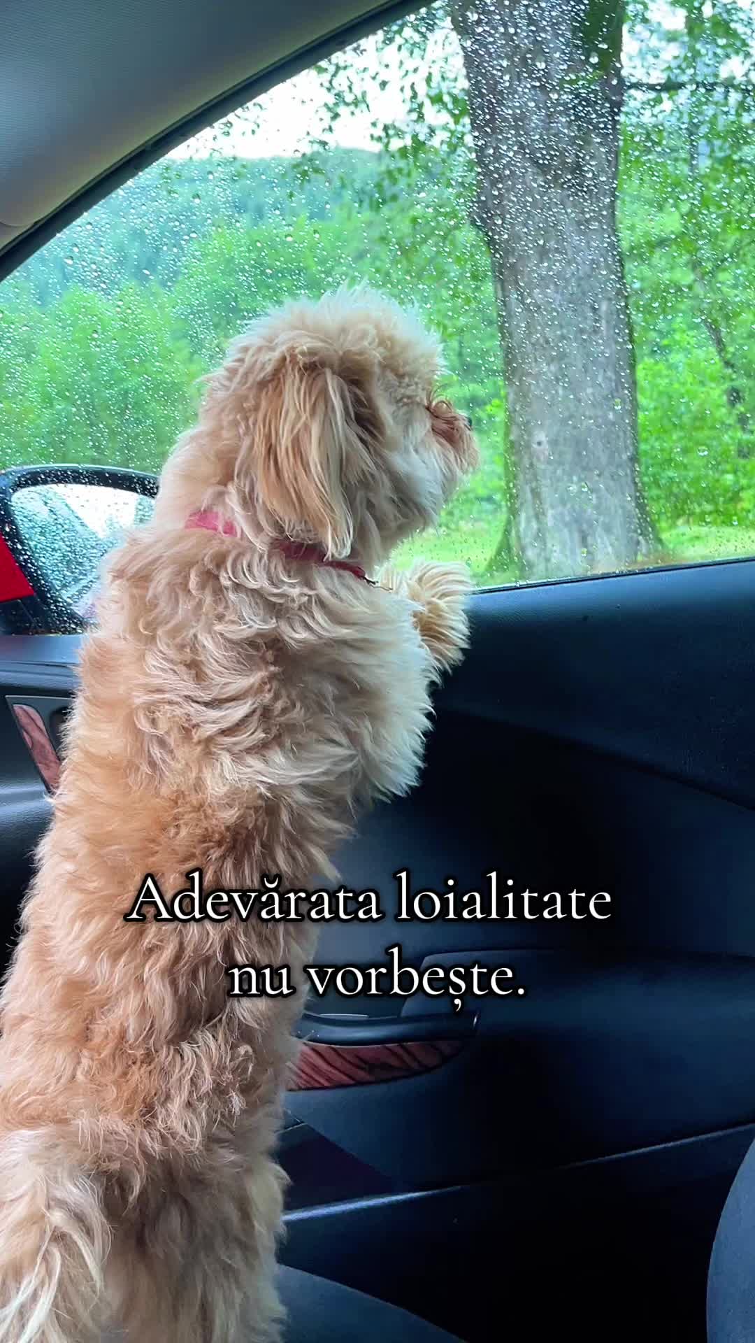 @KatSuba