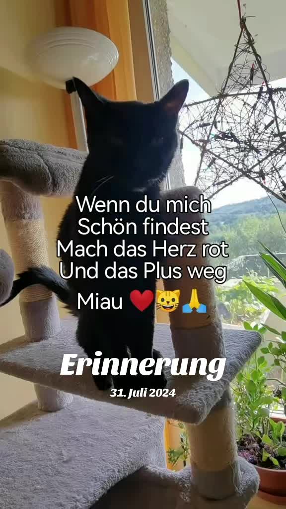 @juli🇩🇪🇺🇸🇷🇺