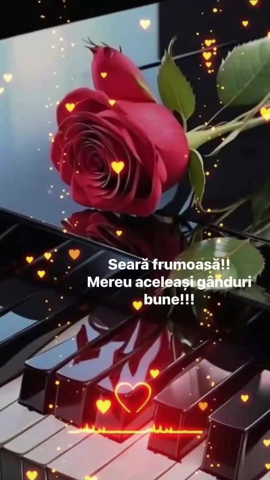 @Maricica74