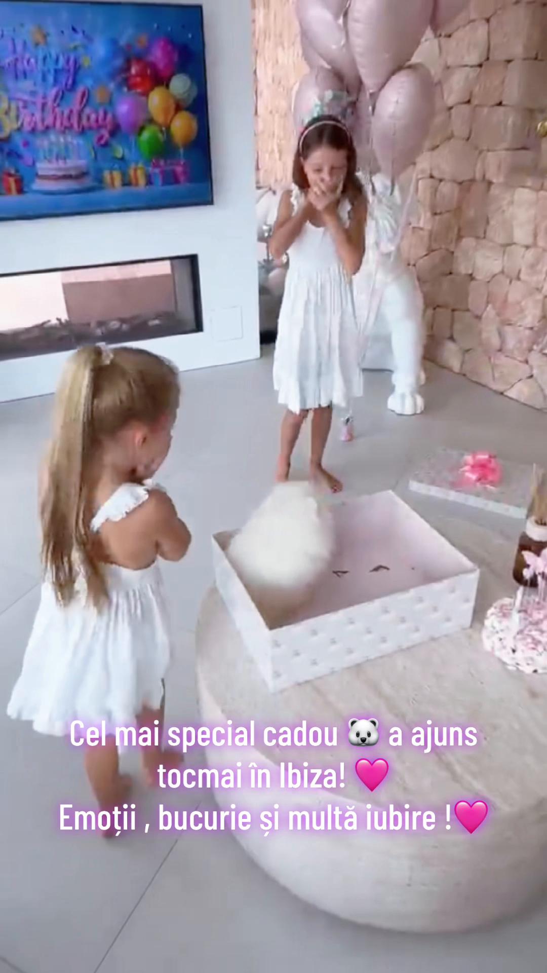 @Pomeranian.Glamour