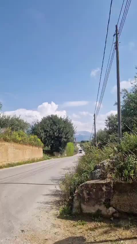 @Daviduccio250
