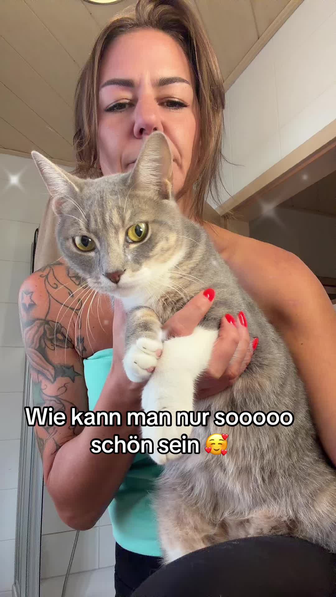 @Oscar & die Katzenbande