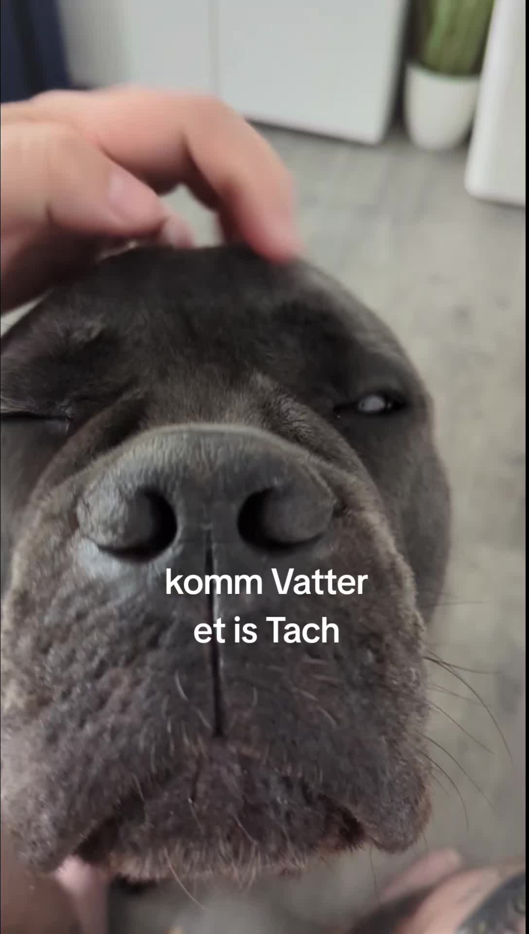 @TobiundBenno