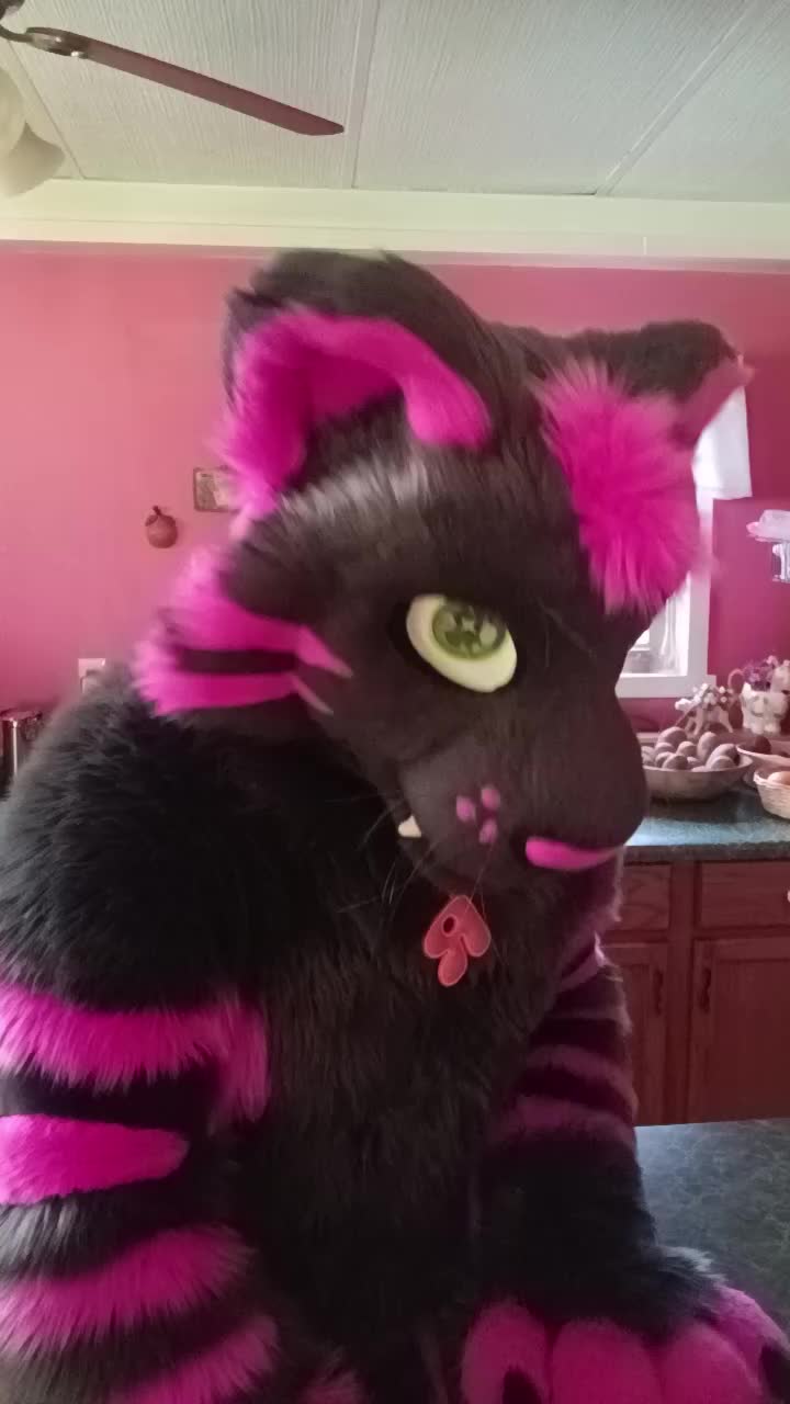 @dingbat 🐾 mew,mew 🐾 🔜 AC26