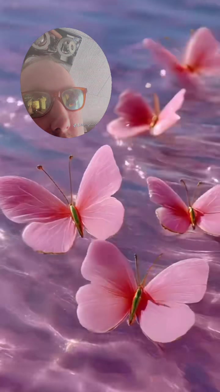 @Angelosanders1198