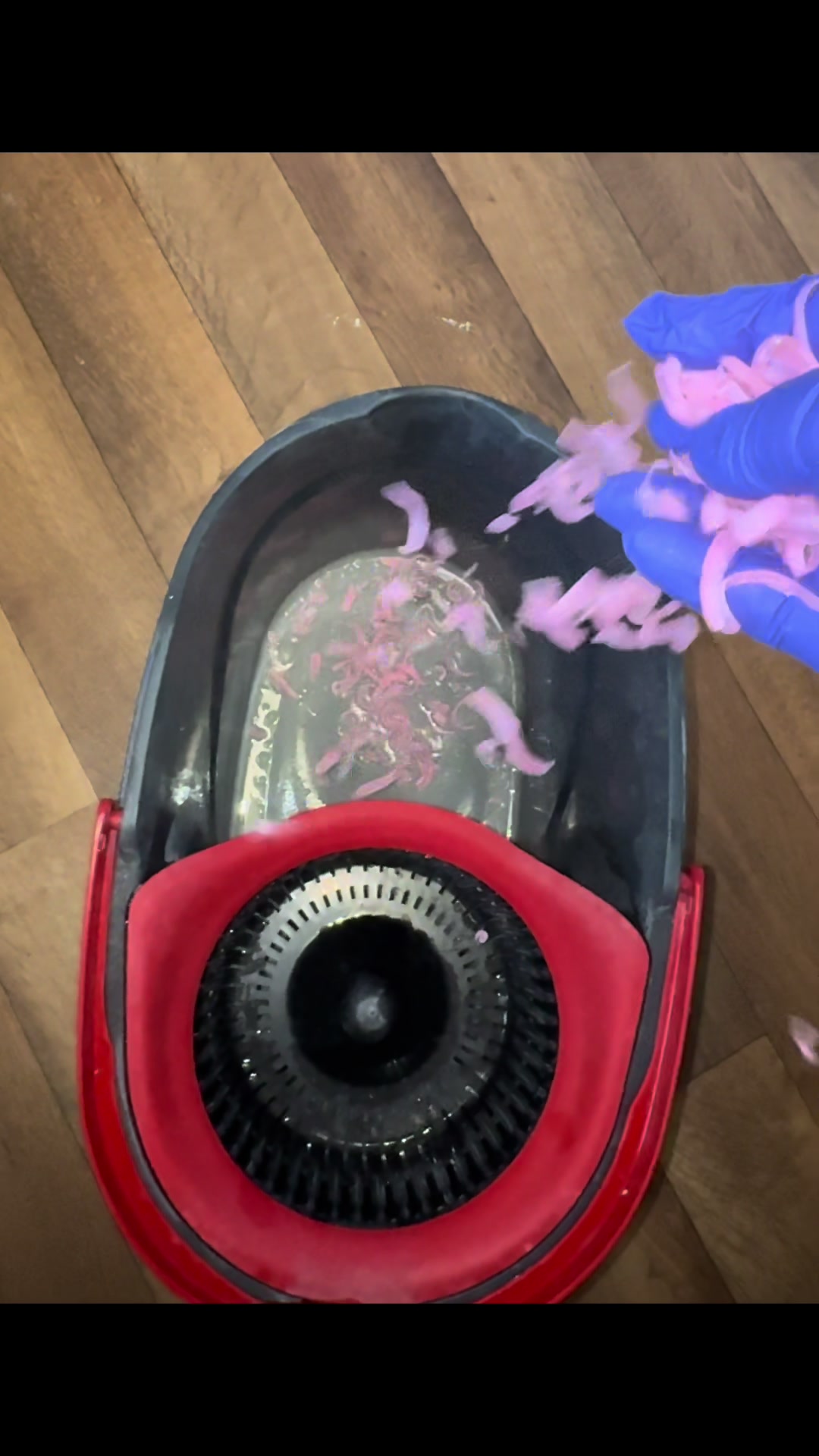 @cleantock25