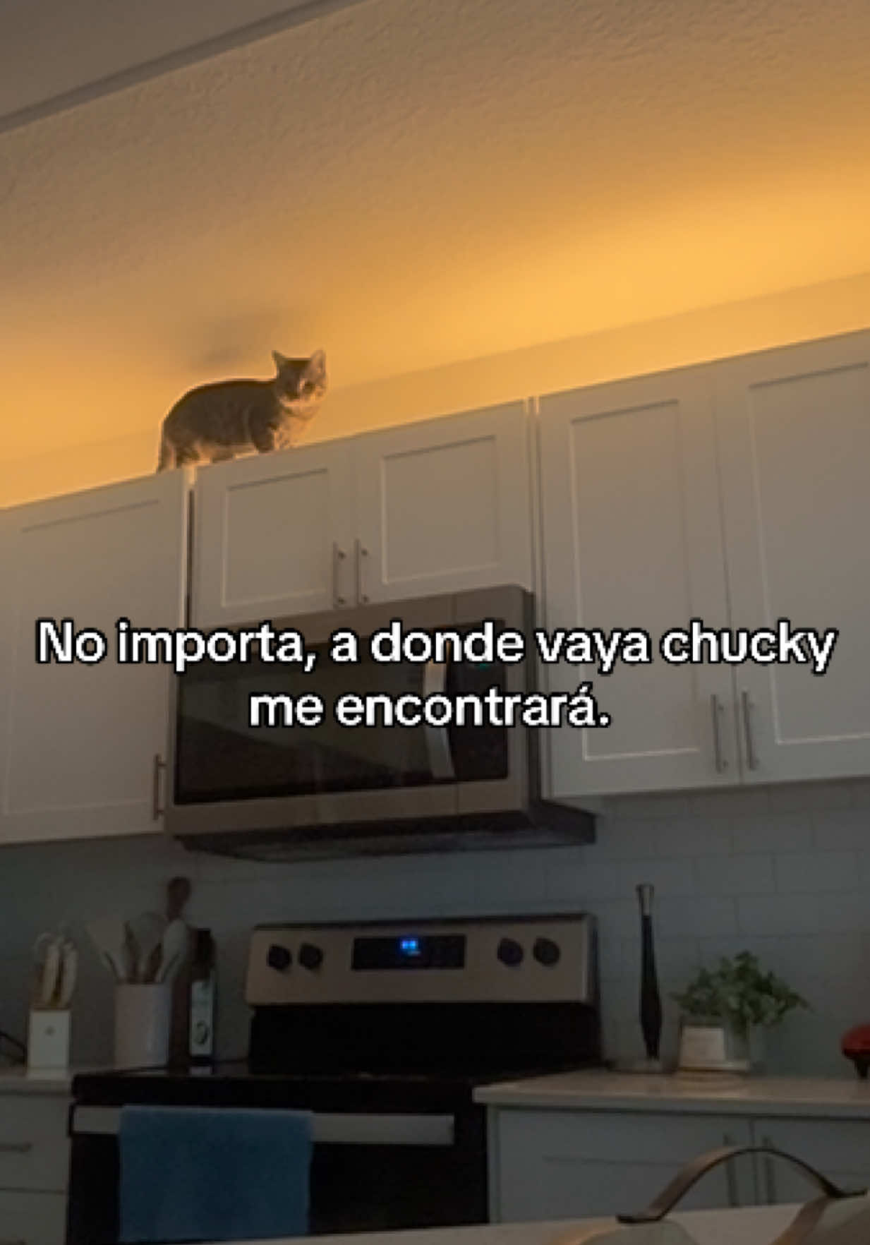 @Gabriela