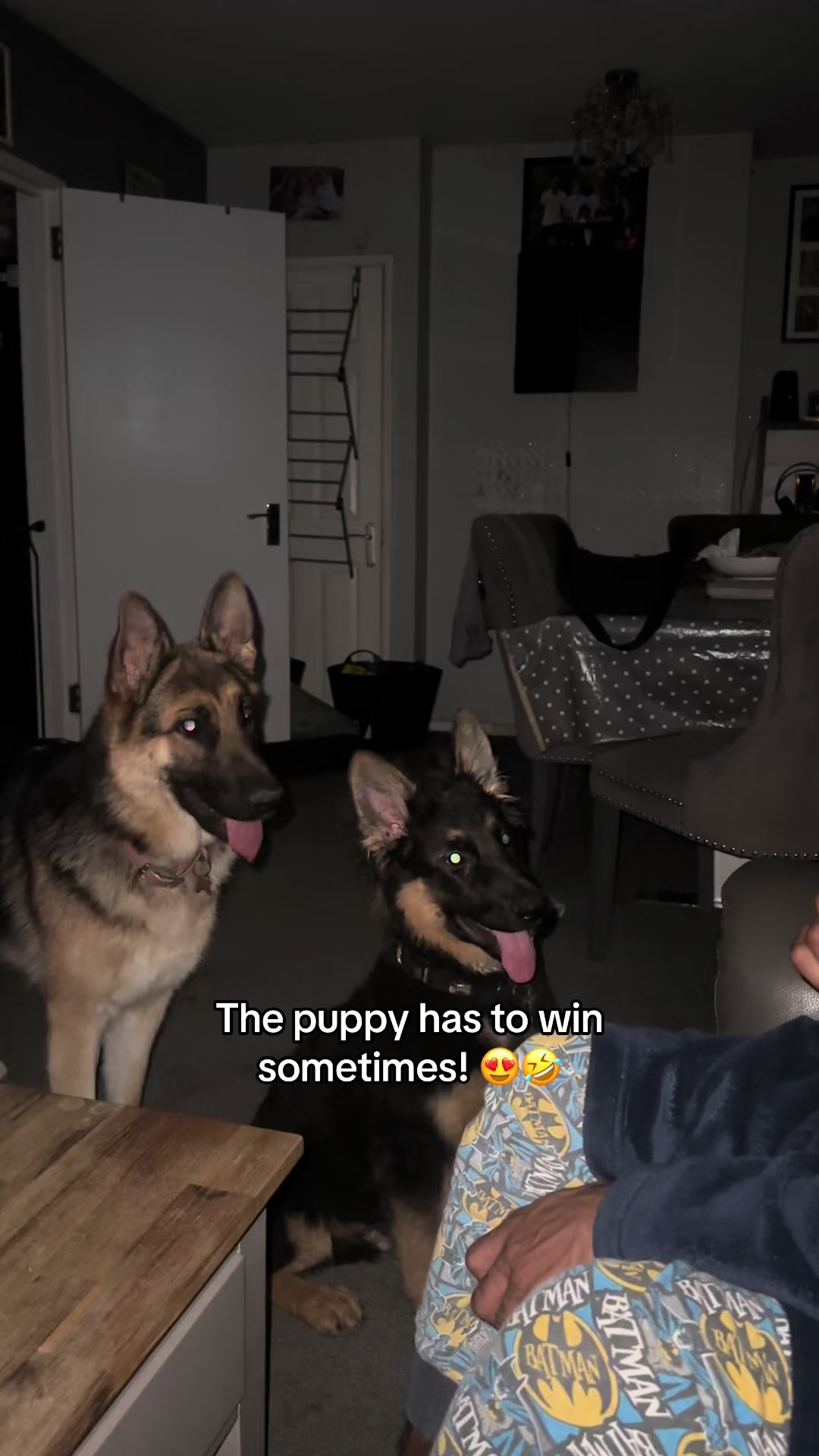 @Skyla The GSD & MC Family! 🤍