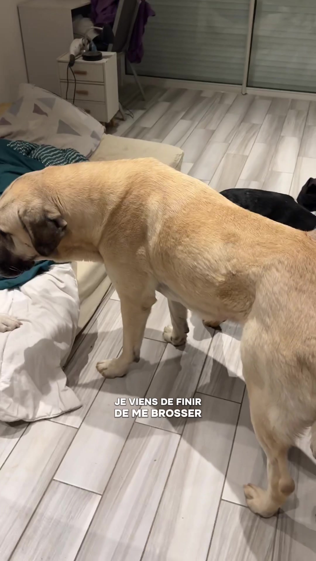 @Purekangal