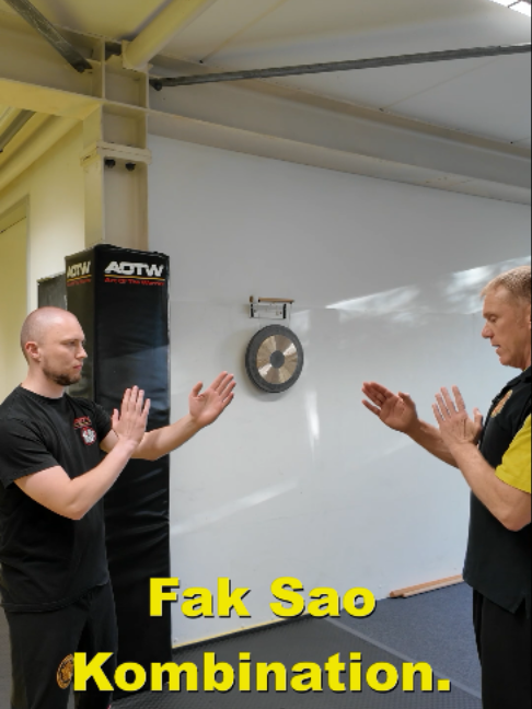 @Sifu Martin Hofmann