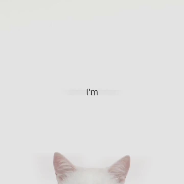 @meowwv#12:39.