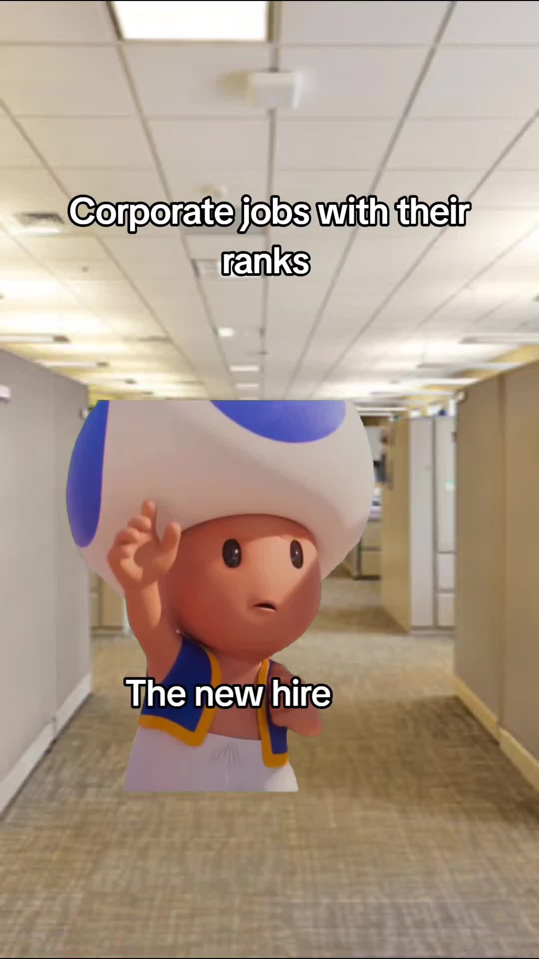 @Mooky
