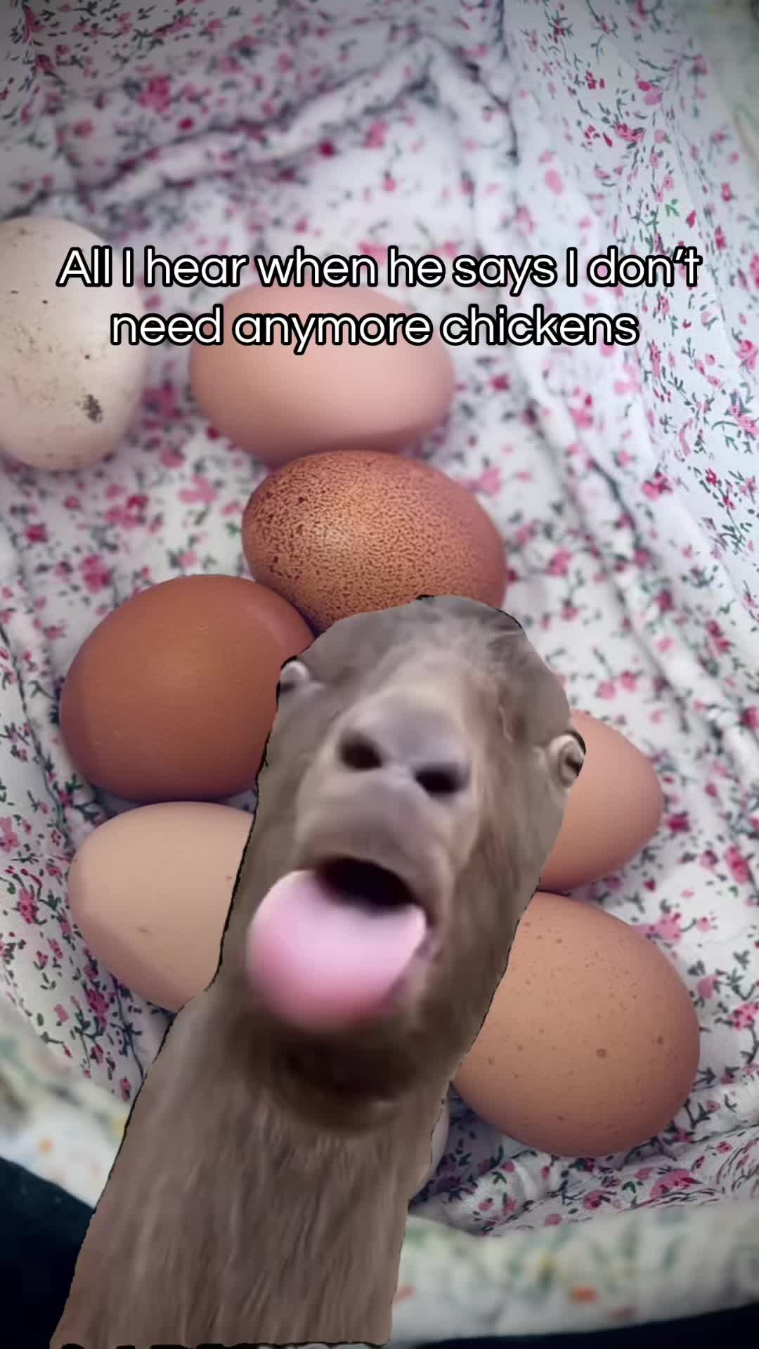 @C O U R T N E Y