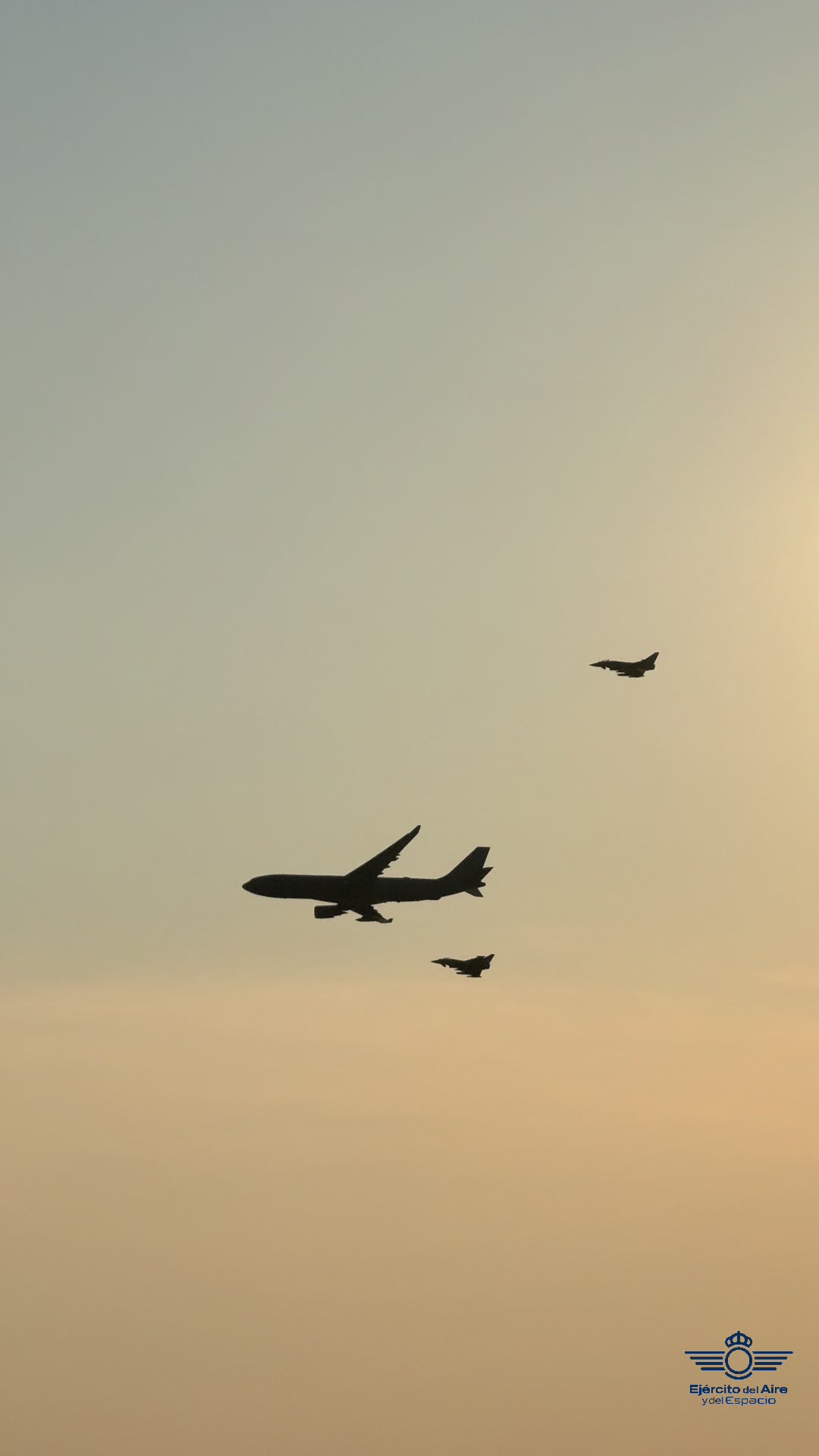 @Ej&eacute;rcito del Aire y dl Espacio