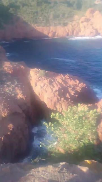 @@ Marina Dimitri