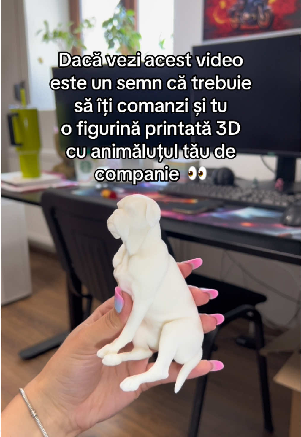 @Eco3D