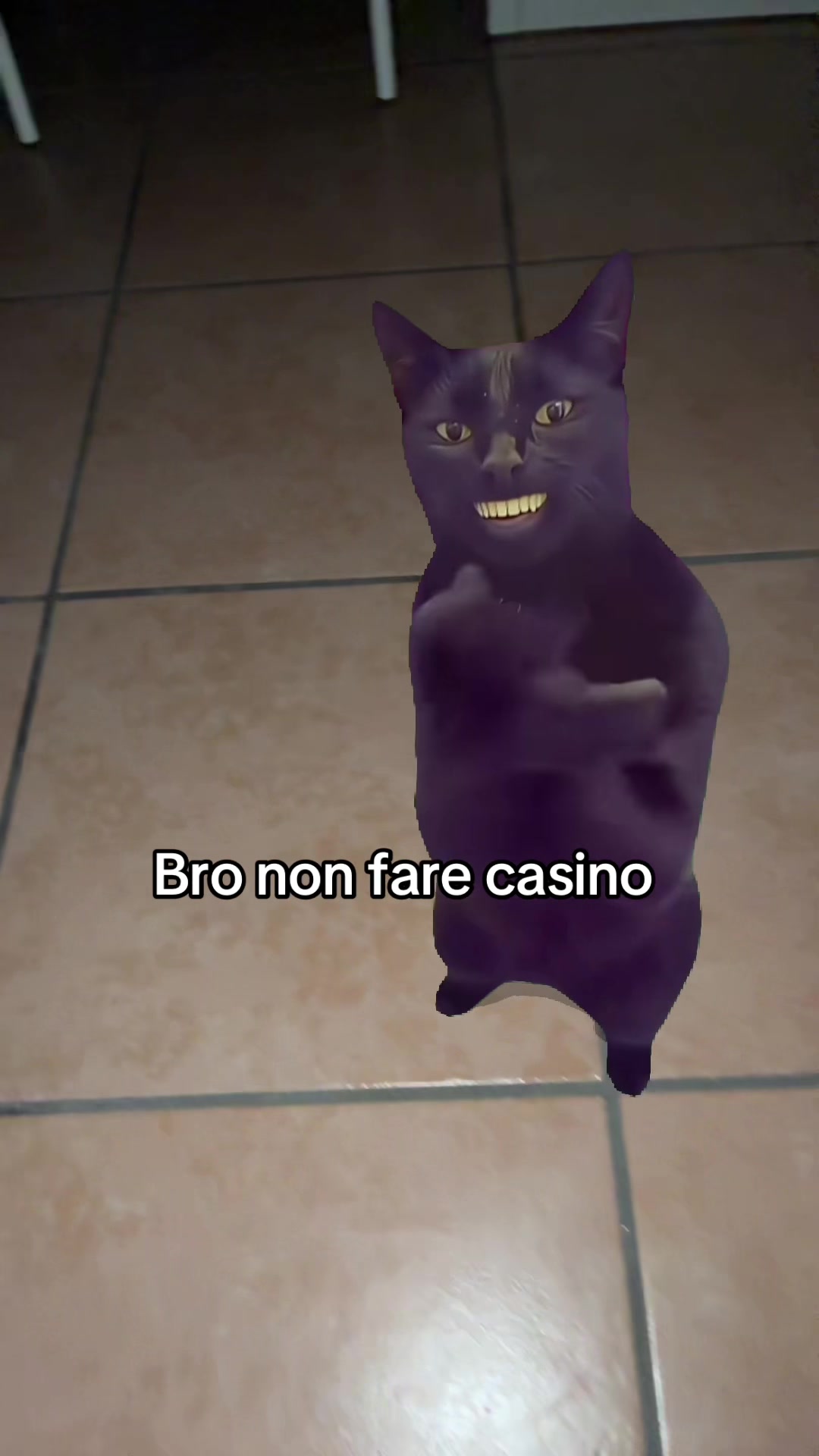 @𝕮𝖍𝖎𝖆𝖗𝖆🐈⬛